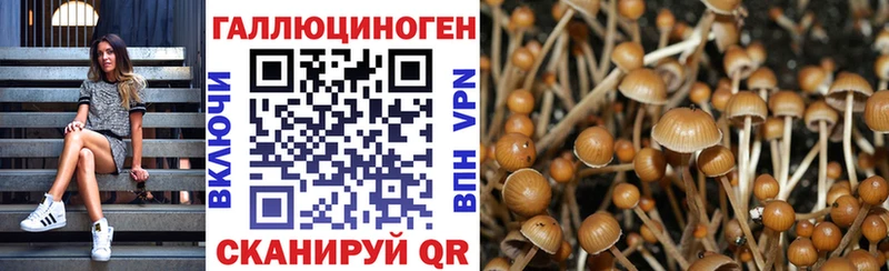 Купить закладки  Зеленокумск  Псилоцибиновые грибы Psilocybine cubensis 
